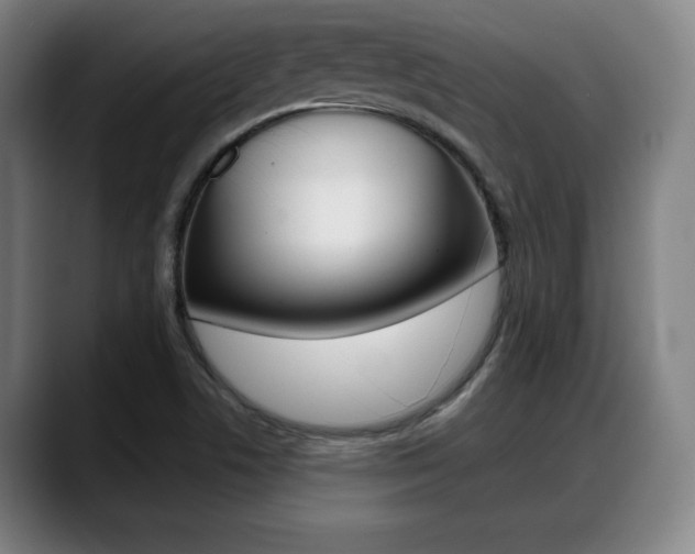 X0000089421506200706150954