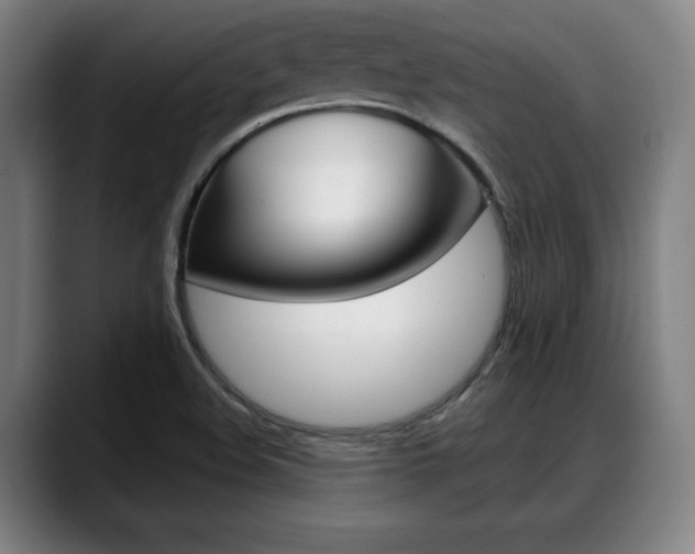 X0000089421508200706150954
