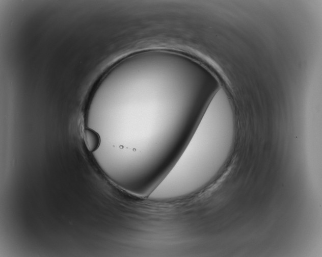 X0000089421509200706150954