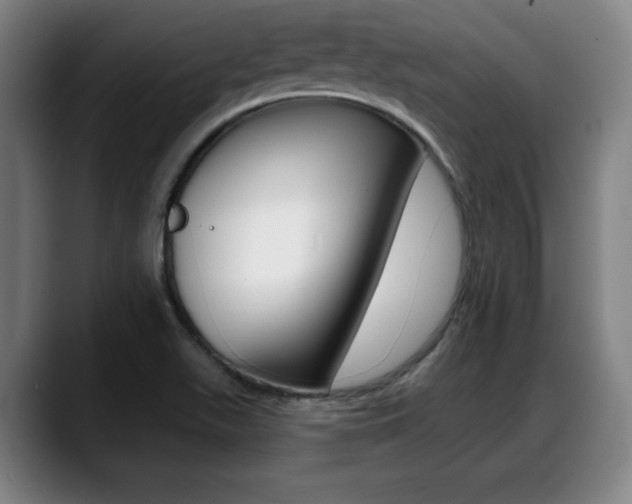 X0000089421511200706150954