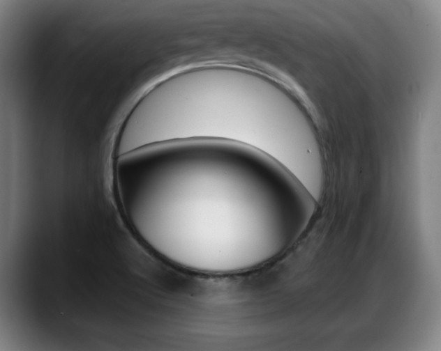 X0000089421512200706150954