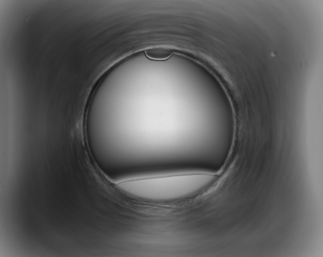 X0000089421513200706150954