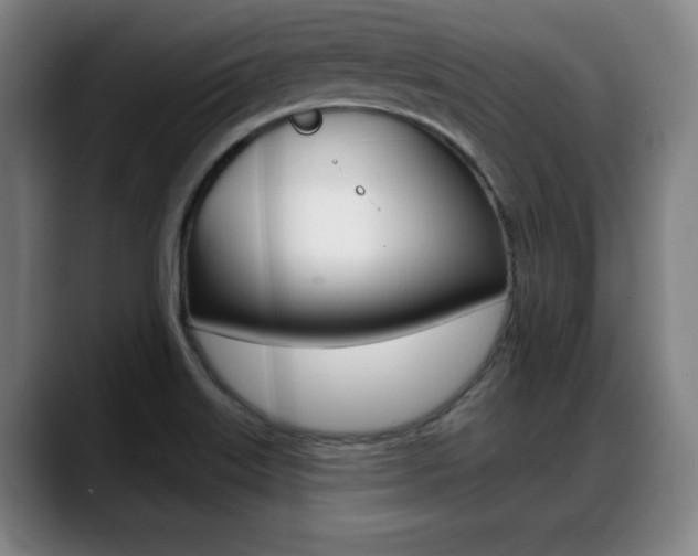 X0000089421515200706150954