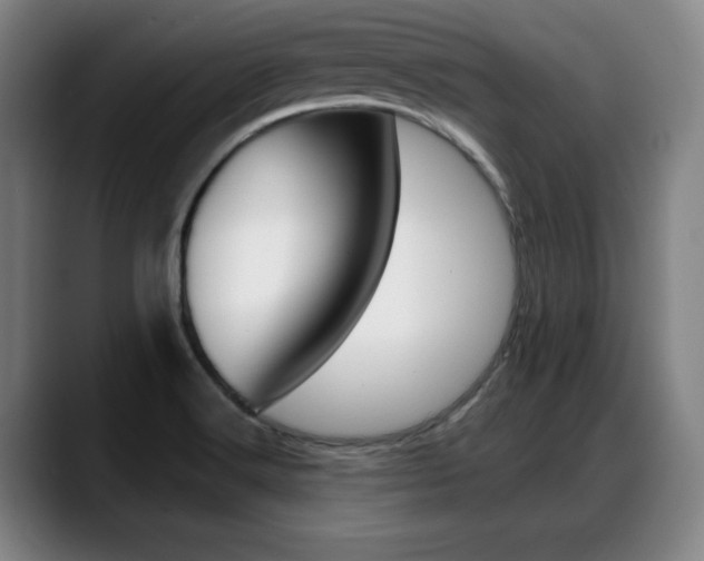 X0000089421516200706150954