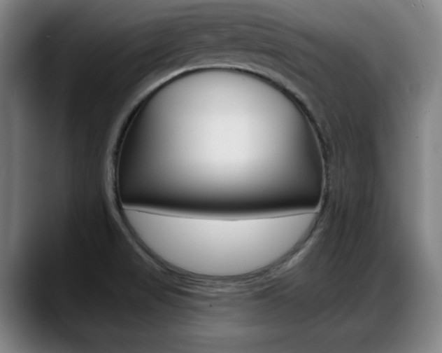 X0000089421517200706150954