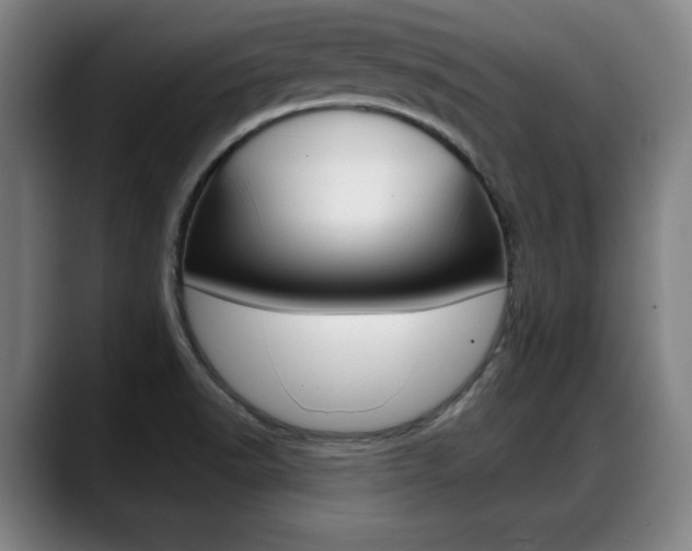 X0000089421518200706150954