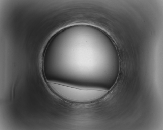 X0000089421519200706150954