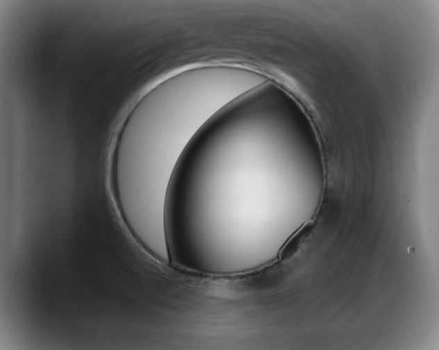 X0000089421520200706150954