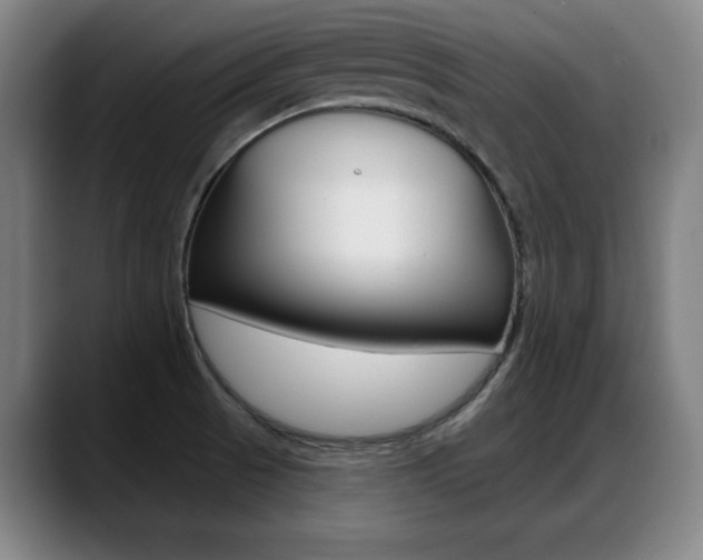 X0000089421521200706150954