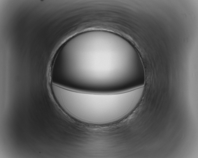 X0000089421522200706150954