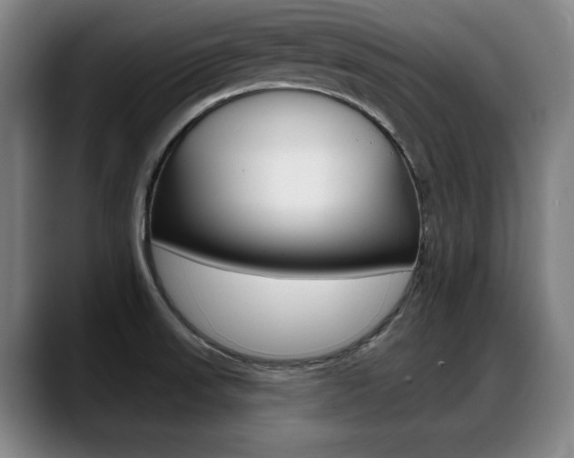 X0000089421523200706150954