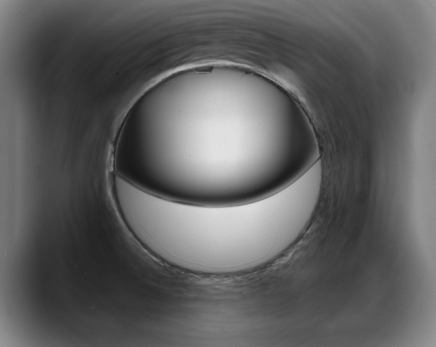 X0000089421524200706150954