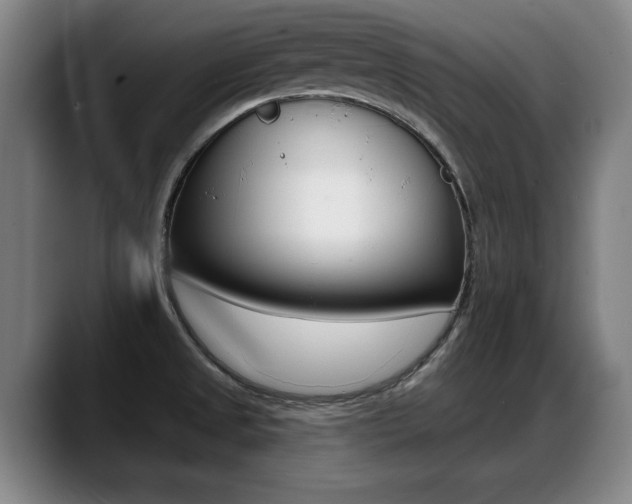X0000089421525200706150954