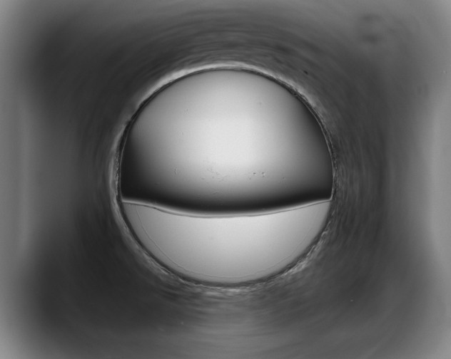 X0000089421526200706150954