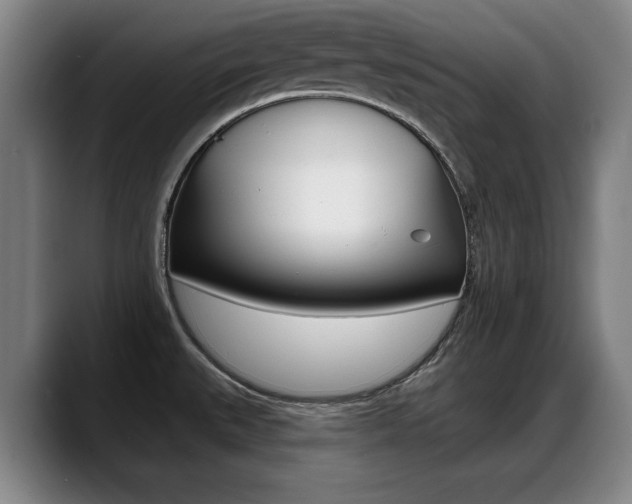 X0000089421527200706150954