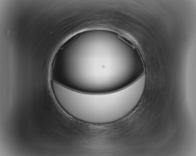 X0000089421528200706150954