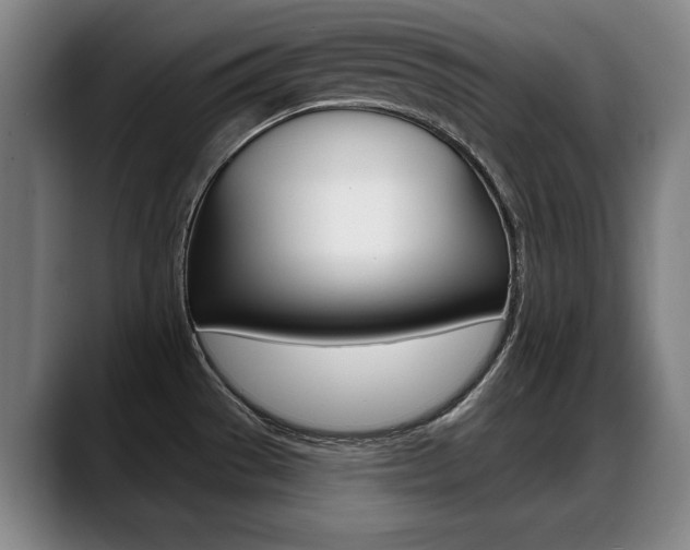 X0000089421529200706150954
