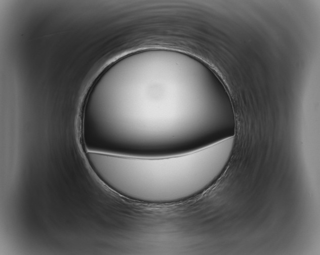 X0000089421531200706150954