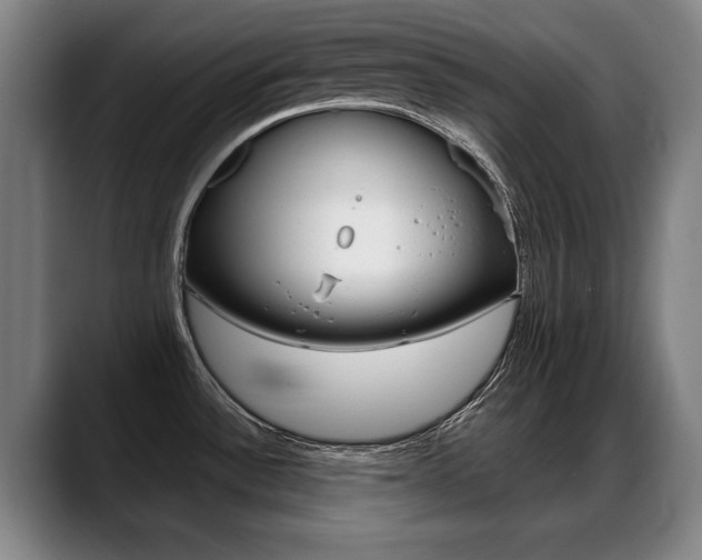 X0000089421532200706150954