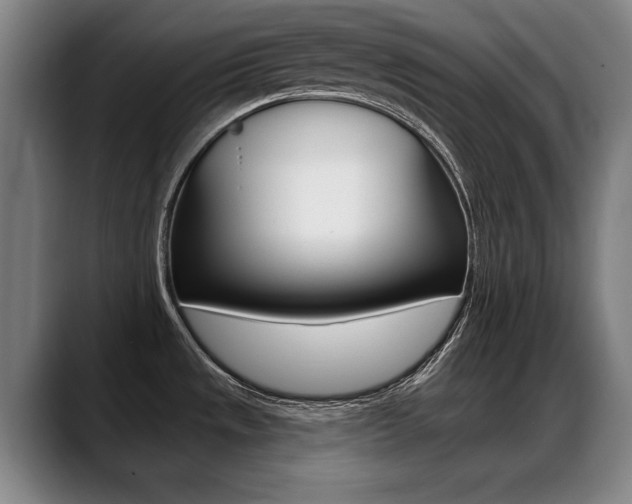 X0000089421533200706150954