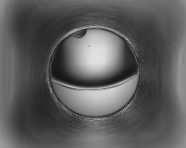 X0000089421534200706150954
