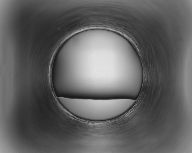 X0000089421535200706150954