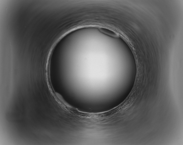 X0000089421536200706150954