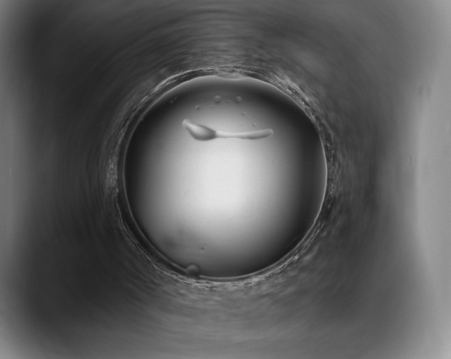 X0000089420002200706151259