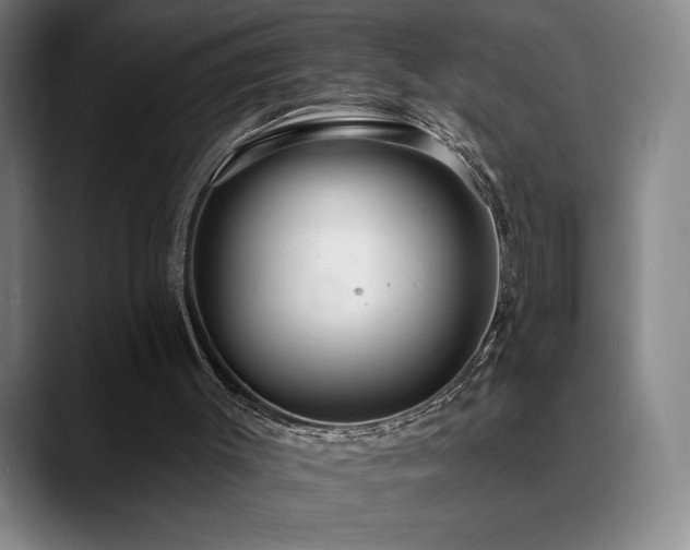 X0000089420003200706151259