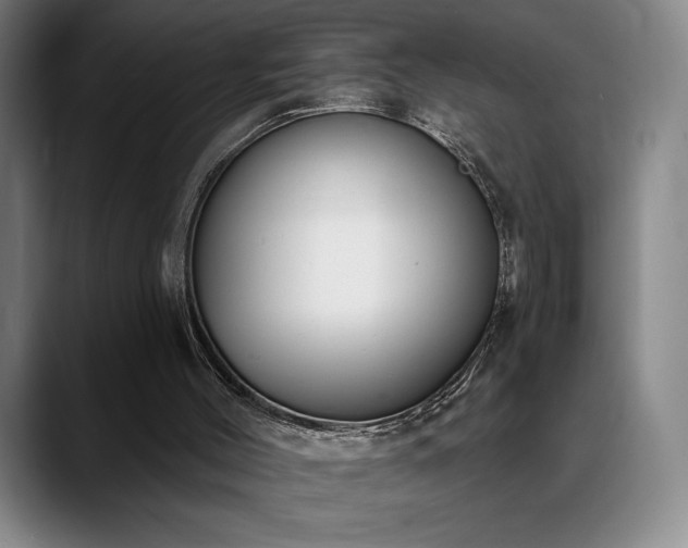 X0000089420004200706151259