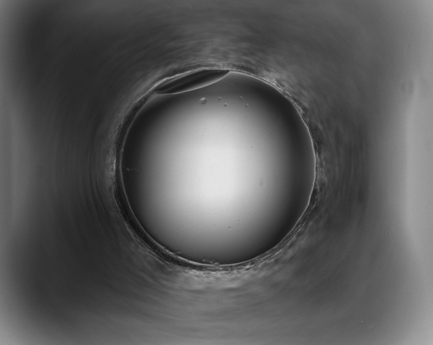 X0000089420005200706151259