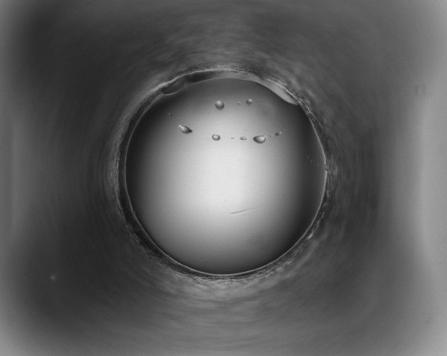 X0000089420006200706151259