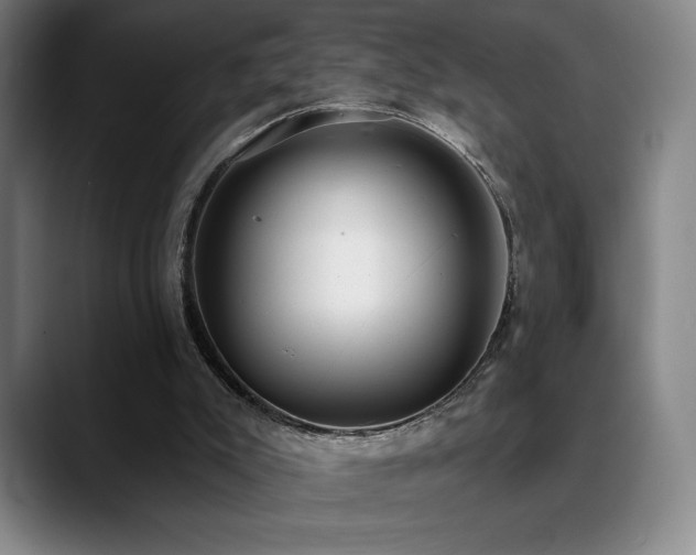 X0000089420007200706151259
