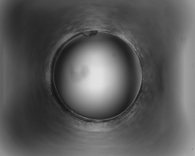 X0000089420008200706151259