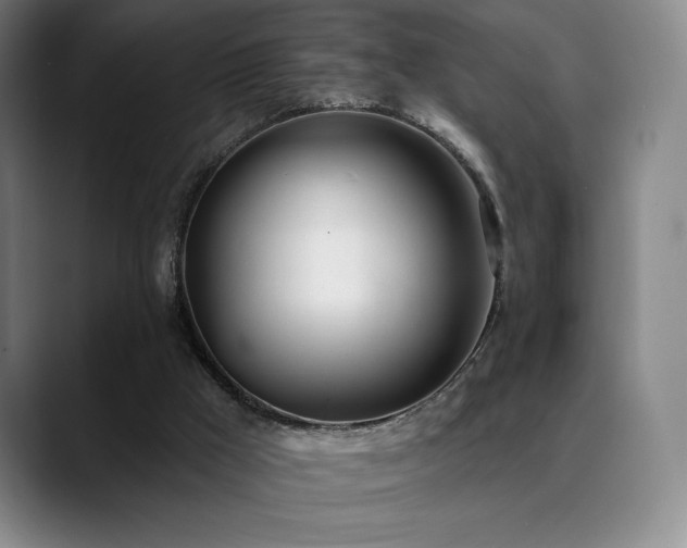 X0000089420009200706151259