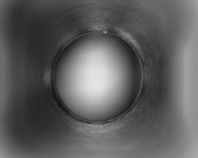X0000089420010200706151259