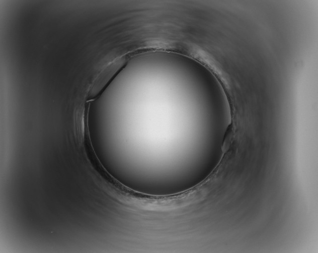 X0000089420011200706151259