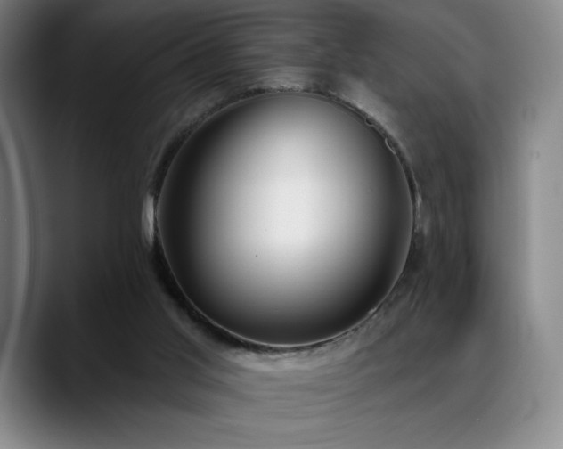 X0000089420013200706151259