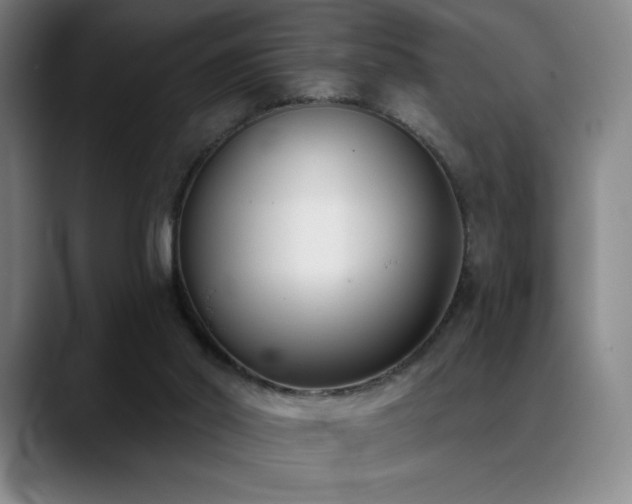 X0000089420014200706151259