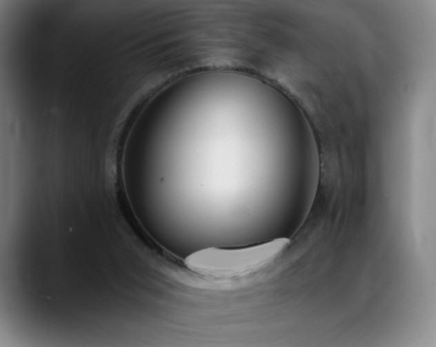 X0000089420015200706151259