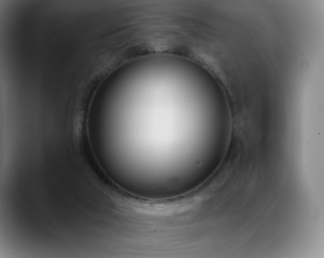 X0000089420018200706151259