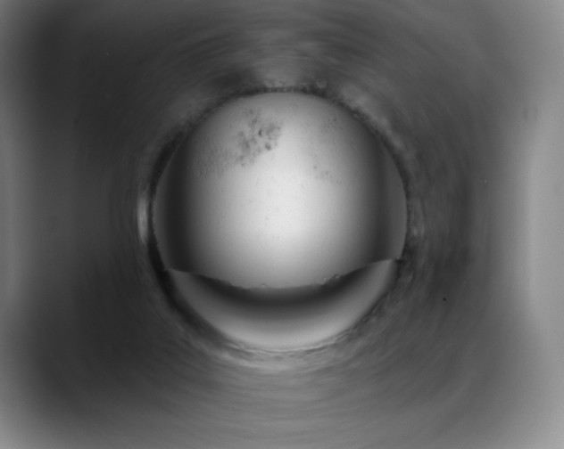 X0000089420019200706151259