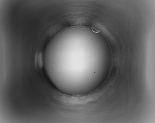 X0000089420022200706151259