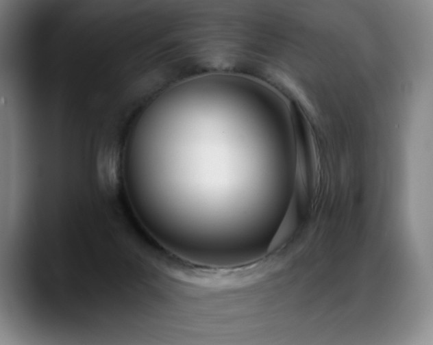 X0000089420023200706151258