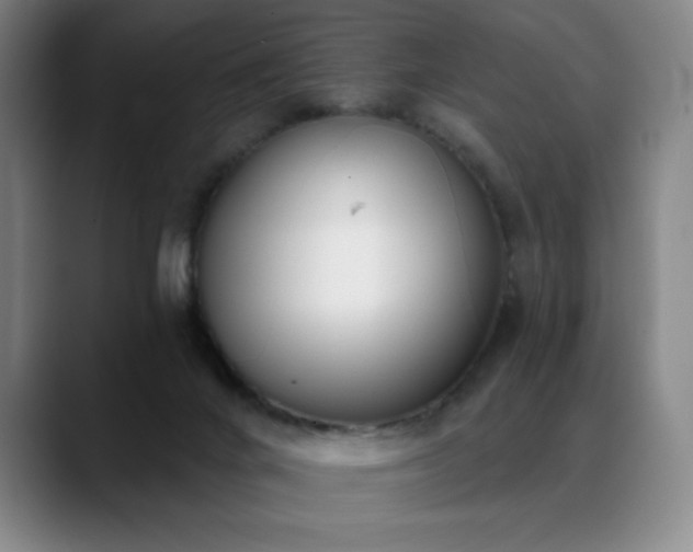 X0000089420024200706151258