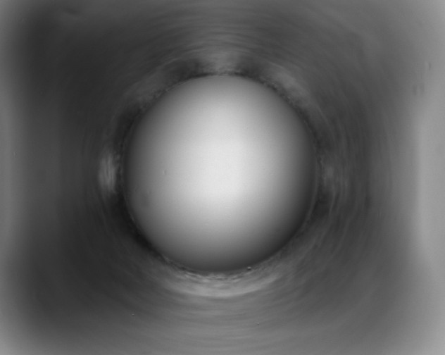X0000089420026200706151258