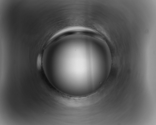 X0000089420027200706151258