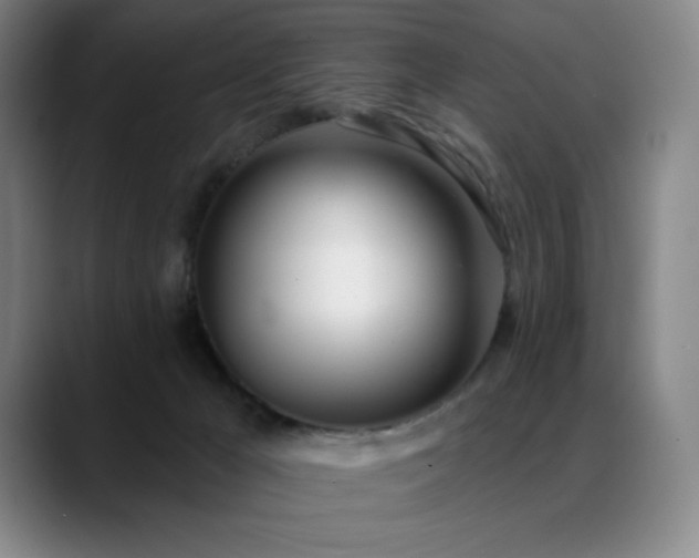 X0000089420029200706151258