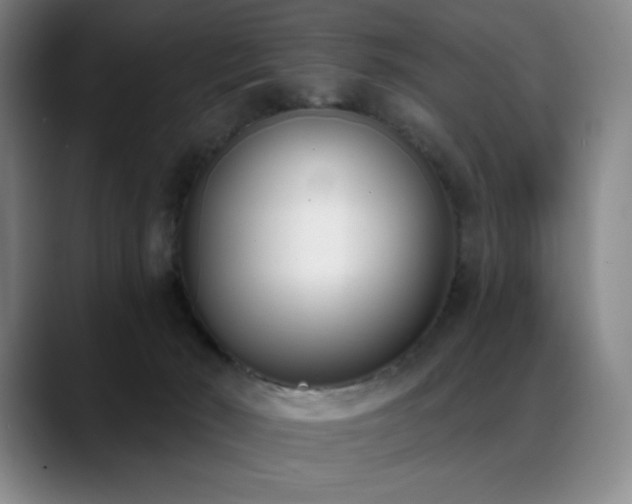 X0000089420030200706151258