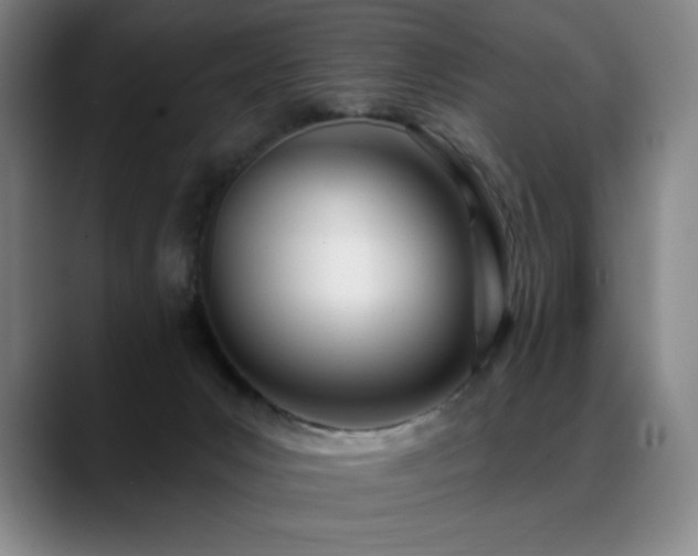 X0000089420031200706151258